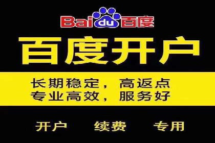 百度SEO推广案例：优化策略与效果对比